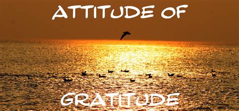 Hope In Uncertain Times: Have An Attitude Of Gratitude