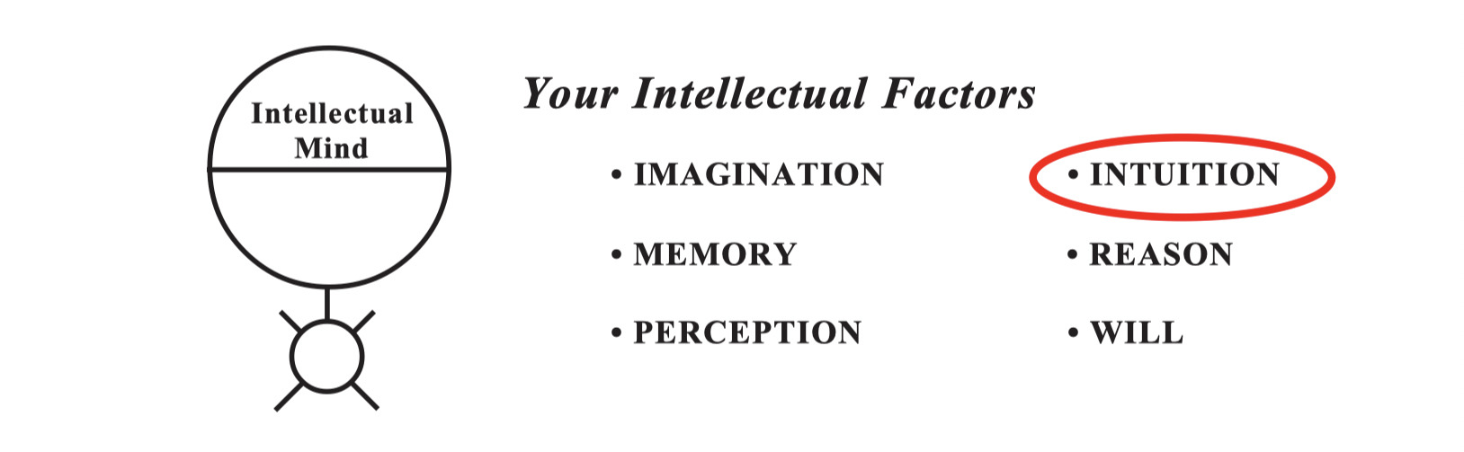 What Is Intuition: Your Intellectual Factors